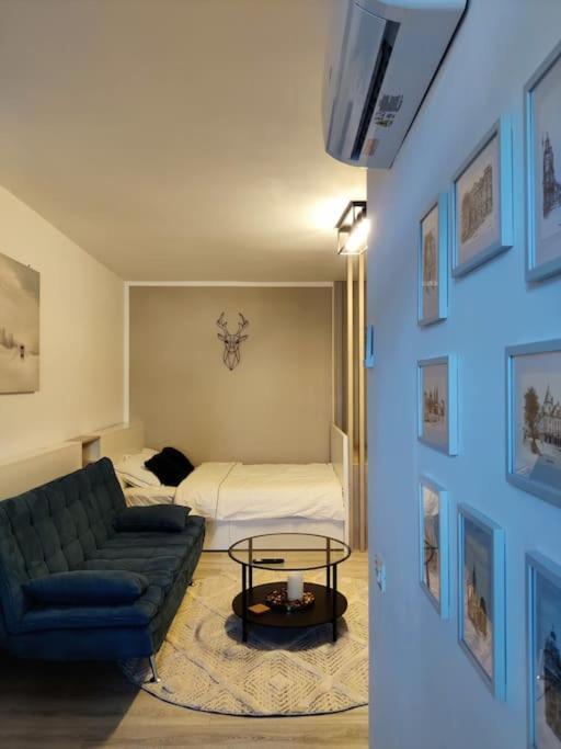 Joy City Stay Vivalia V6A-41 Timisoara Luaran gambar