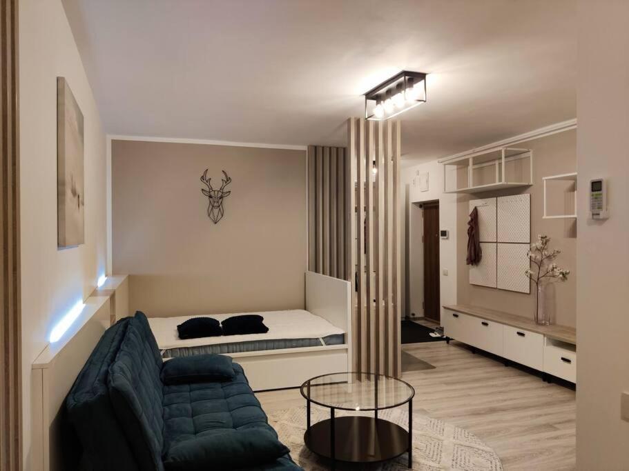 Joy City Stay Vivalia V6A-41 Timisoara Luaran gambar