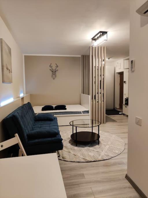 Joy City Stay Vivalia V6A-41 Timisoara Luaran gambar